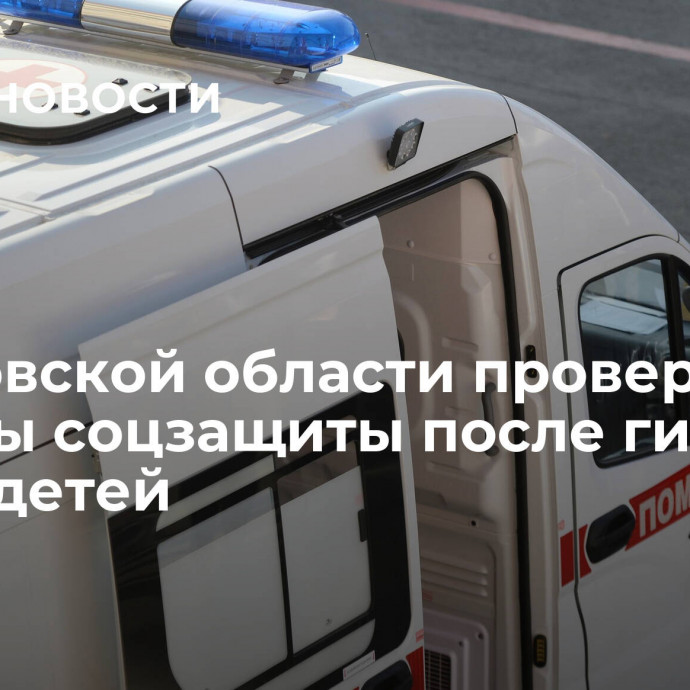 В Псковской области проверят службы соцзащиты после гибели троих детей