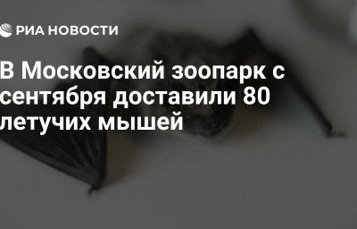 В Московский зоопарк с сентября доставили 80 летучих мышей