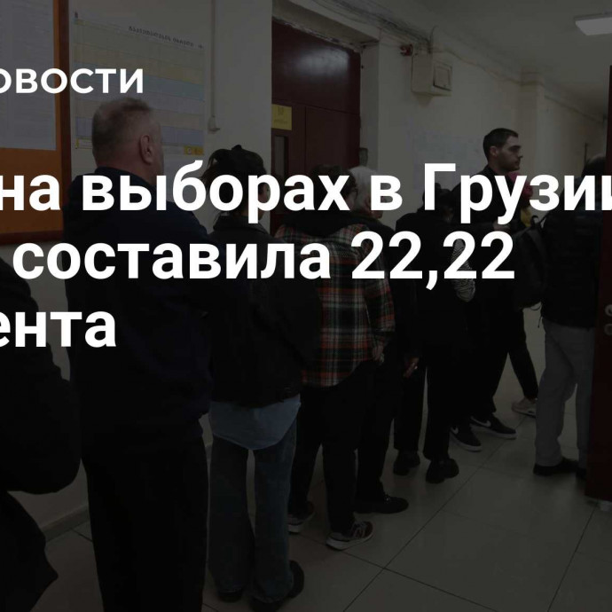 Явка на выборах в Грузии к 11:00 составила 22,22 процента