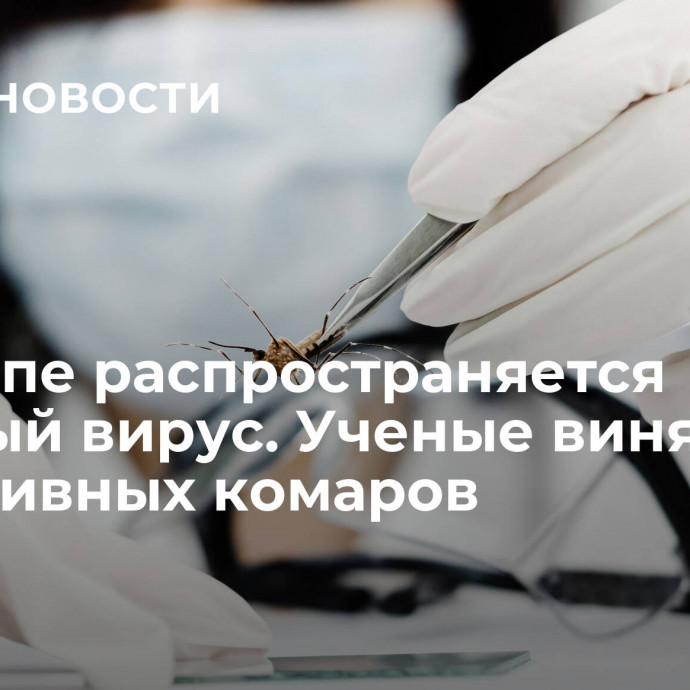 В Европе распространяется опасный вирус. Ученые винят агрессивных комаров