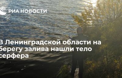 В Ленинградской области на берегу залива нашли тело серфера