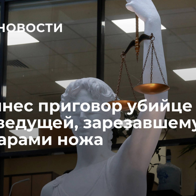 Суд вынес приговор убийце радиоведущей, зарезавшему ее 247 ударами ножа