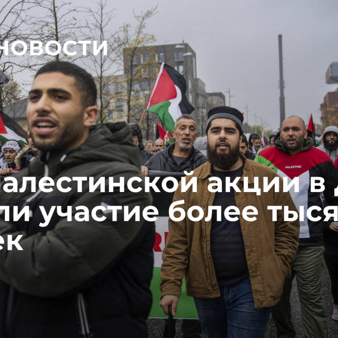 В пропалестинской акции в Дании приняли участие более тысячи человек