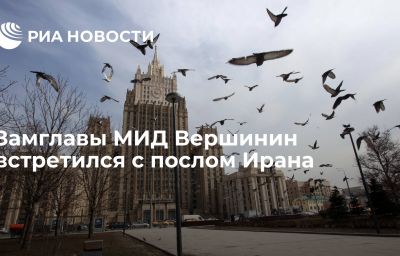 Замглавы МИД Вершинин встретился с послом Ирана