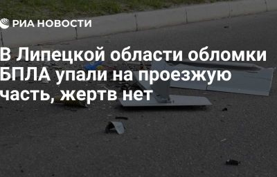 В Липецкой области обломки БПЛА упали на проезжую часть, жертв нет