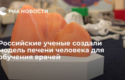 Российские ученые создали модель печени человека для обучения врачей