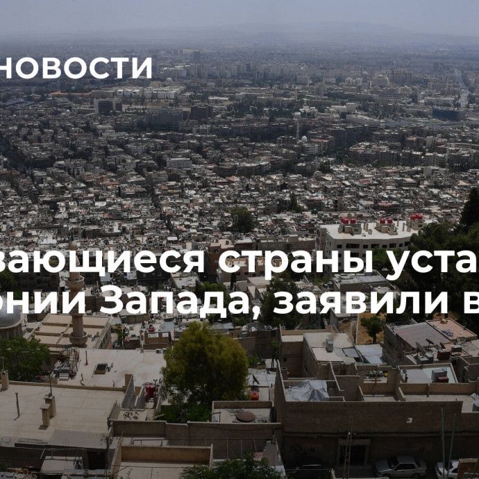 Развивающиеся страны устали от гегемонии Запада, заявили в МИД Сирии