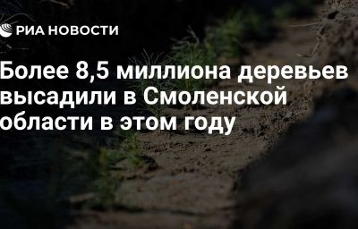 Более 8,5 миллиона деревьев высадили в Смоленской области в этом году