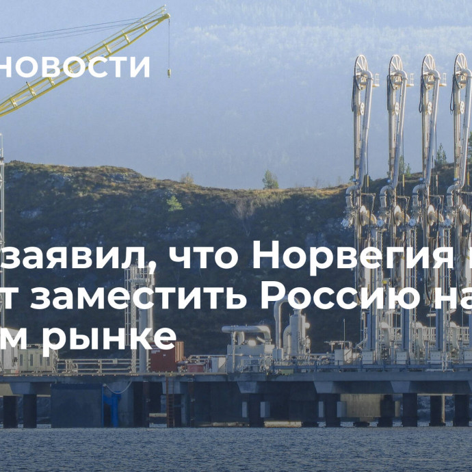 Посол заявил, что Норвегия не сможет заместить Россию на газовом рынке