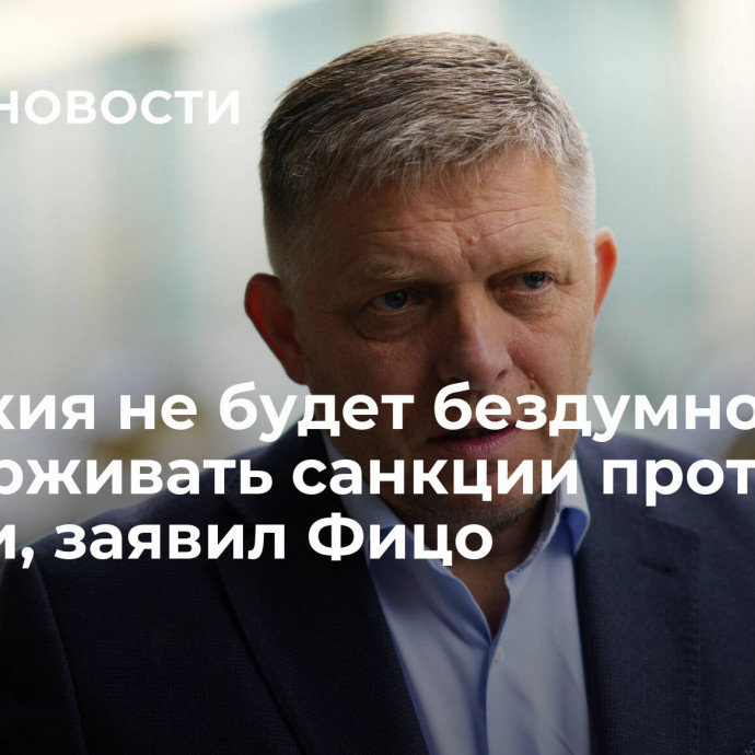 Словакия не будет бездумно поддерживать санкции против России, заявил Фицо