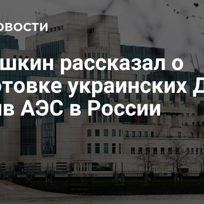 Нарышкин рассказал о подготовке украинских ДРГ против АЭС в России