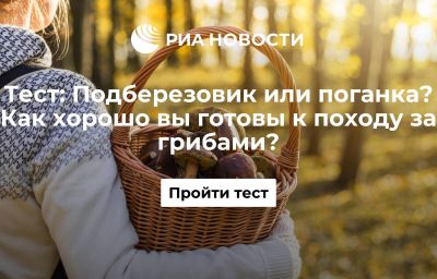 Подберезовик или поганка? Как хорошо вы готовы к походу за грибами?