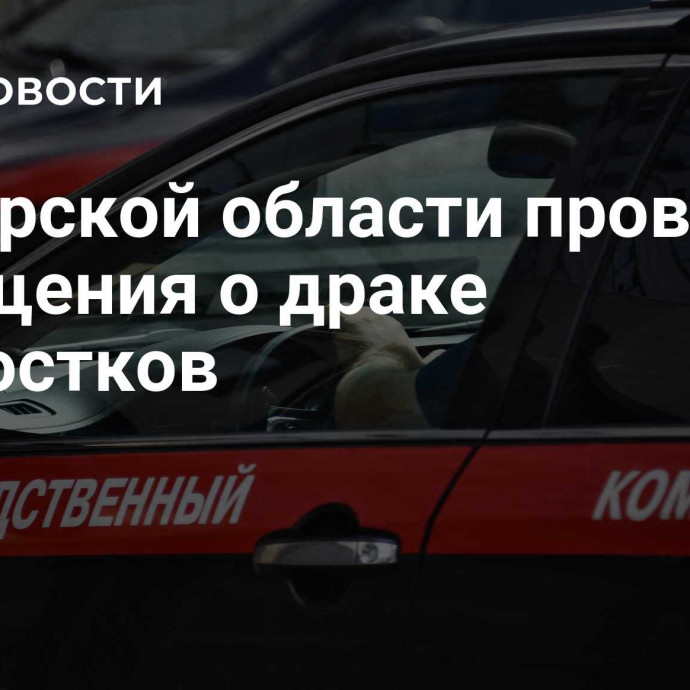 В Тверской области проверяют сообщения о драке подростков