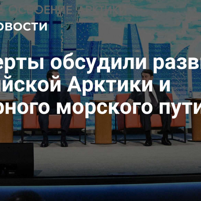 Эксперты обсудили развитие российской Арктики и Северного морского пути