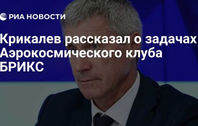 Крикалев рассказал о задачах Аэрокосмического клуба БРИКС