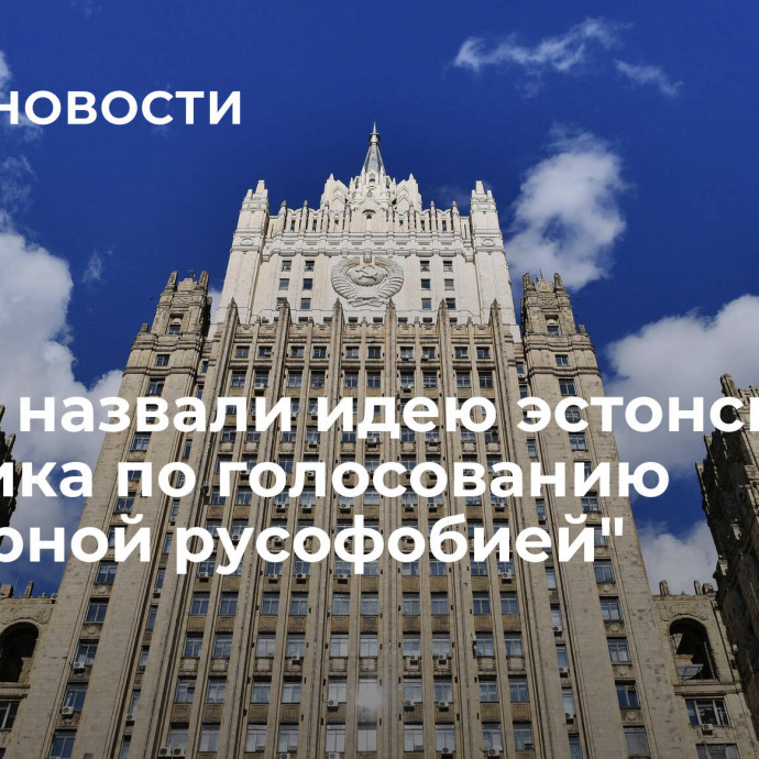 В МИД назвали идею эстонского политика по голосованию 