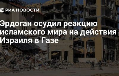 Эрдоган осудил реакцию исламского мира на действия Израиля в Газе