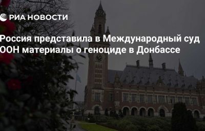 Россия представила в Международный суд ООН материалы о геноциде в Донбассе