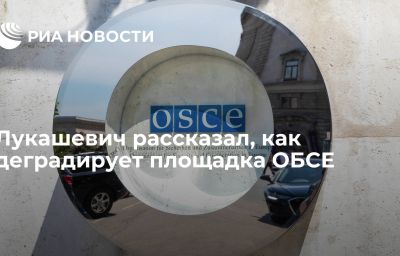 Лукашевич рассказал, как деградирует площадка ОБСЕ