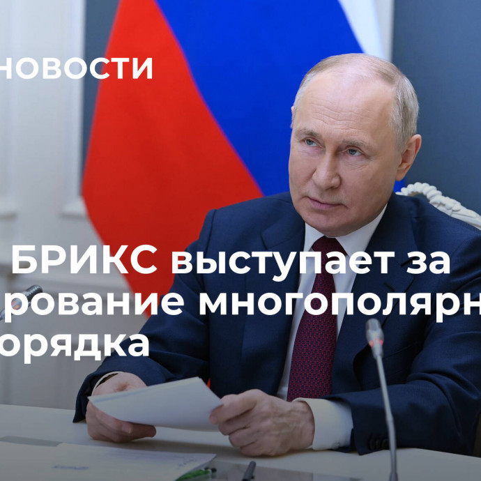 Путин: БРИКС выступает за формирование многополярного миропорядка