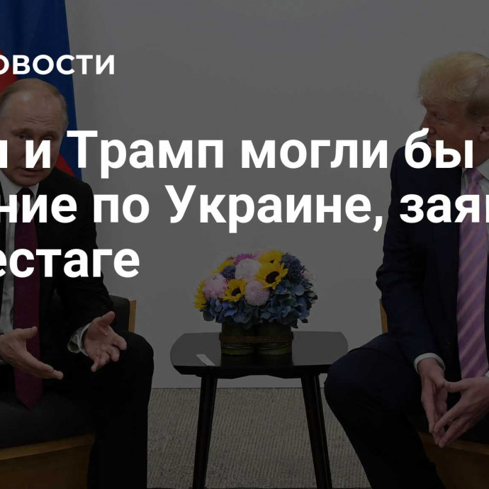 Путин и Трамп могли бы найти решение по Украине, заявили в бундестаге