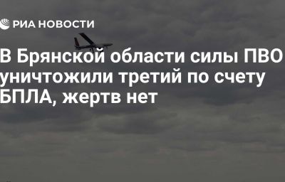 В Брянской области силы ПВО уничтожили третий по счету БПЛА, жертв нет