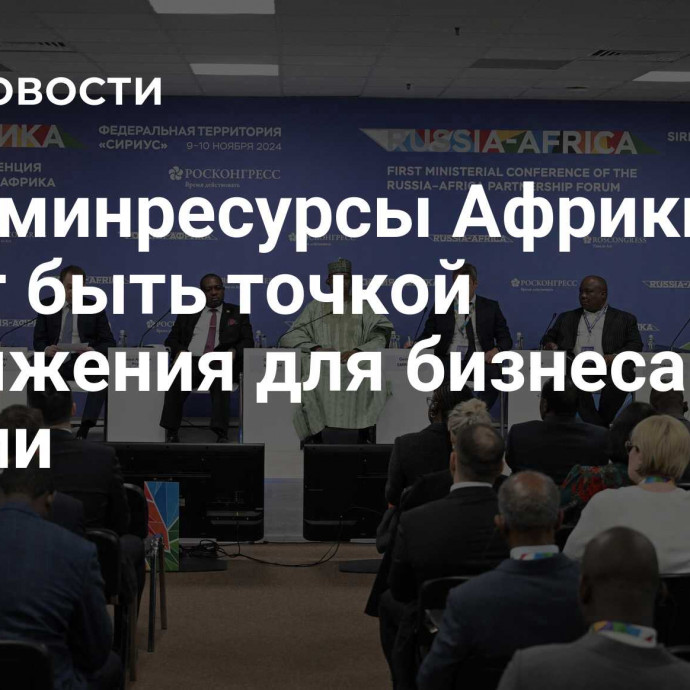 РЭЦ: минресурсы Африки могут быть точкой притяжения для бизнеса в России