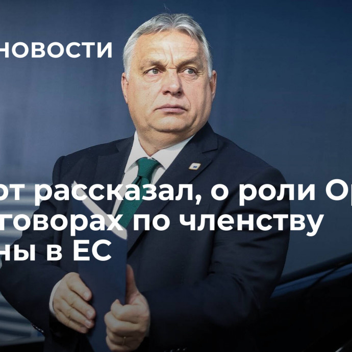 Эксперт рассказал, о роли Орбана в переговорах по членству Украины в ЕС