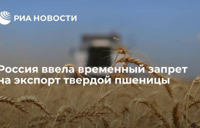 Россия ввела временный запрет на экспорт твердой пшеницы