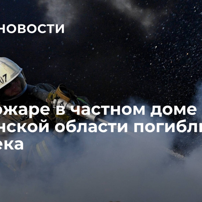 При пожаре в частном доме в Пензенской области погибли два человека