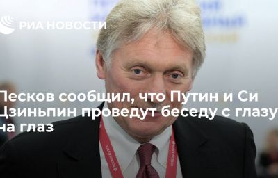 Песков сообщил, что Путин и Си Цзиньпин проведут беседу с глазу на глаз