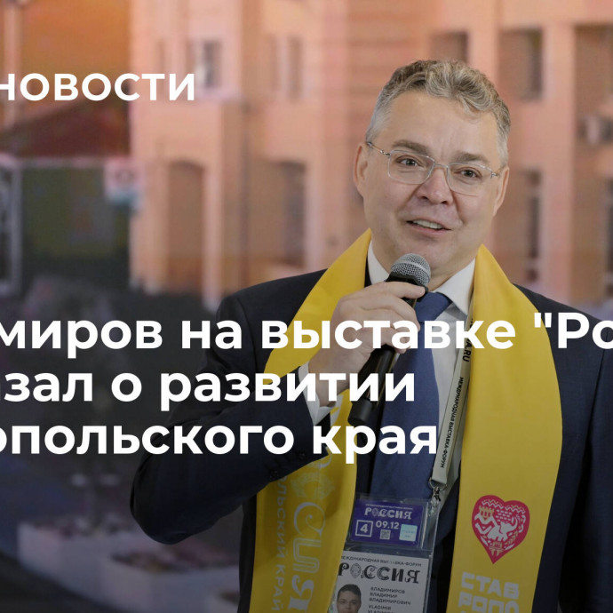 Владимиров на выставке 