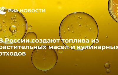 В России создают топлива из растительных масел и кулинарных отходов