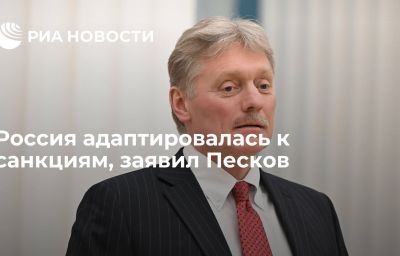 Россия адаптировалась к санкциям, заявил Песков