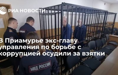 В Приамурье экс-главу управления по борьбе с коррупцией осудили за взятки