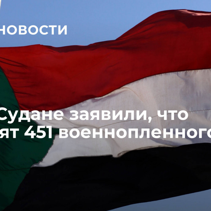 СБР в Судане заявили, что отпустят 451 военнопленного