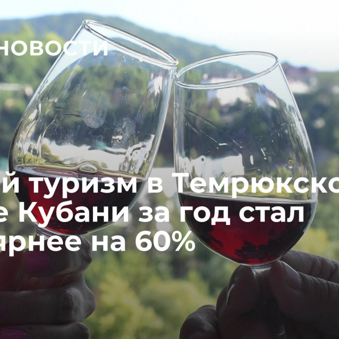 Винный туризм в Темрюкском районе Кубани за год стал популярнее на 60%