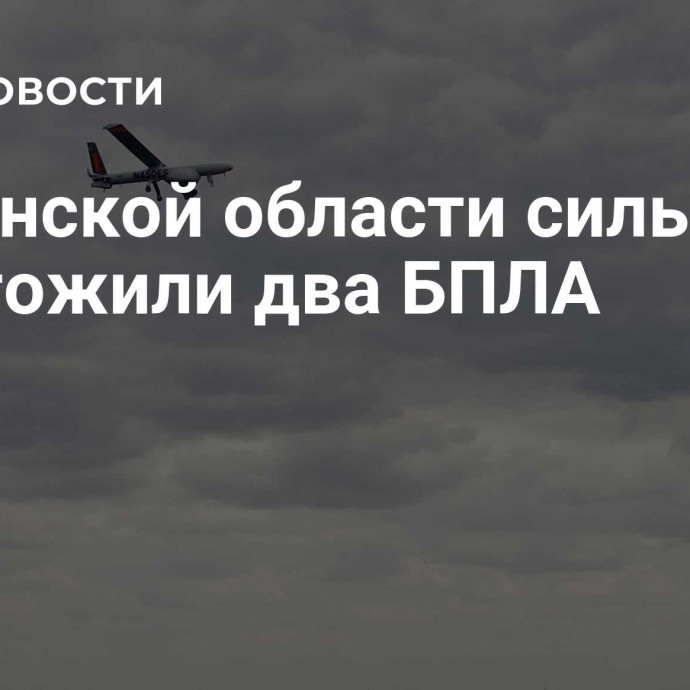 В Брянской области силы ПВО уничтожили два БПЛА