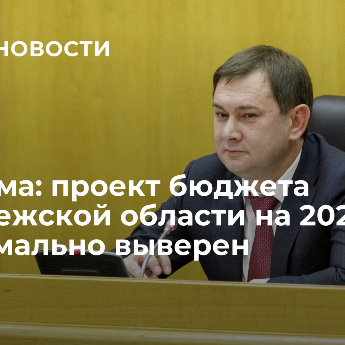 Облдума: проект бюджета Воронежской области на 2024 год максимально выверен