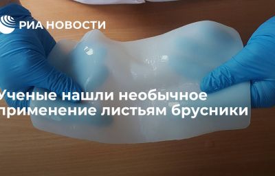 Ученые нашли необычное применение листьям брусники