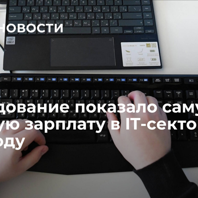 Исследование показало самую высокую зарплату в IT-секторе в 2023 году