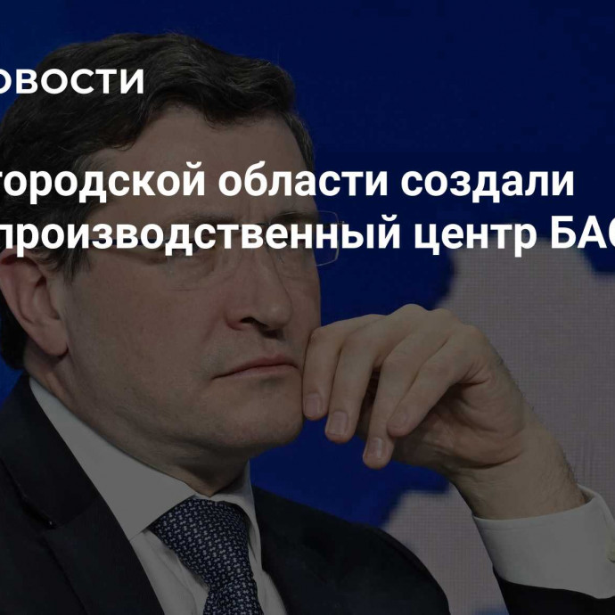 В Нижегородской области создали научно-производственный центр БАС