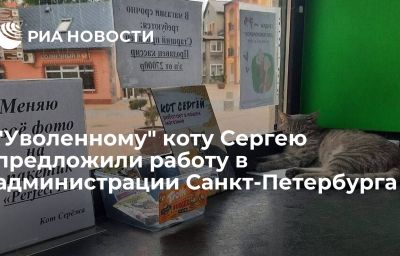 "Уволенному" коту Сергею предложили работу в администрации Санкт-Петербурга