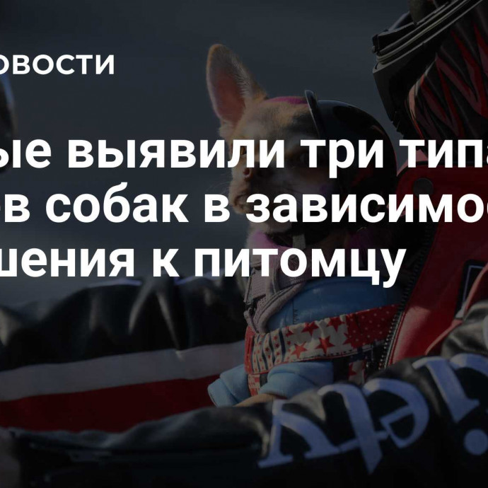 Ученые выявили три типа хозяев собак в зависимости от отношения к питомцу