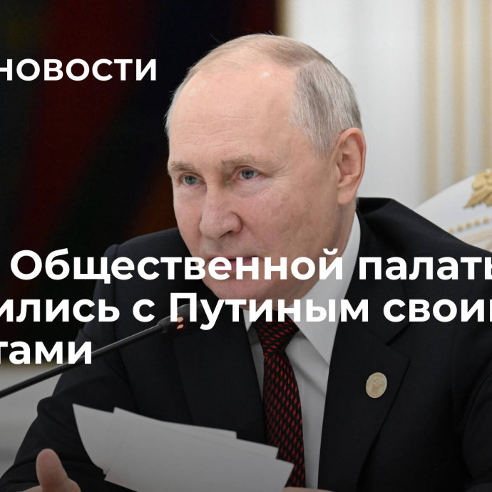 Члены Общественной палаты поделились с Путиным своими проектами