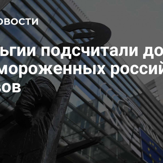 В Бельгии подсчитали доход от замороженных российских активов