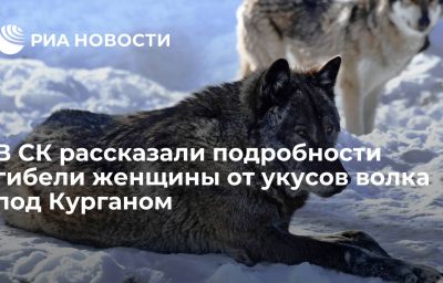 В СК рассказали подробности гибели женщины от укусов волка под Курганом