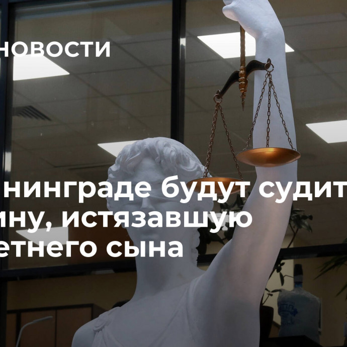 В Калининграде будут судить женщину, истязавшую малолетнего сына