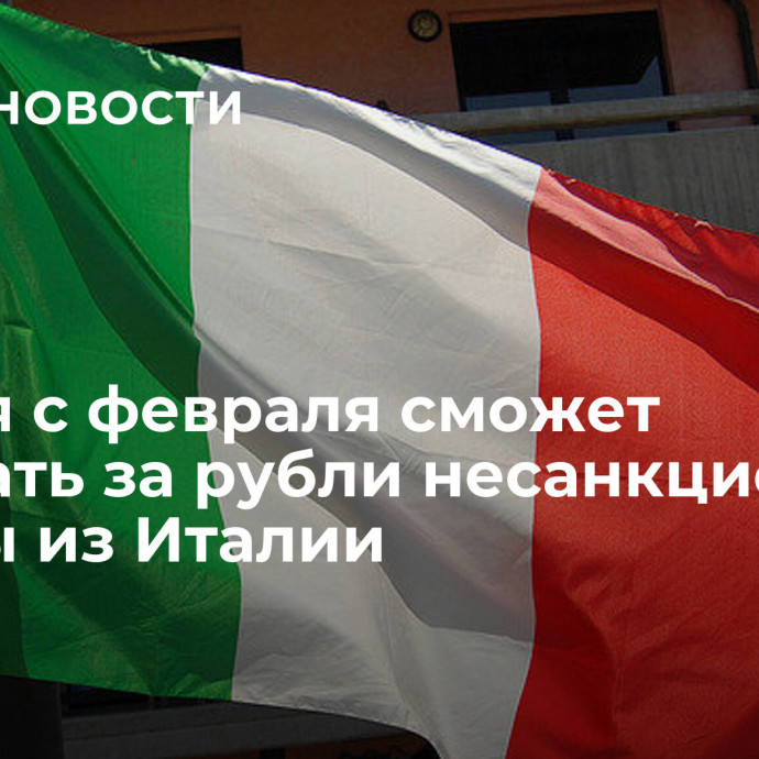 Россия с февраля сможет покупать за рубли несанкционные товары из Италии