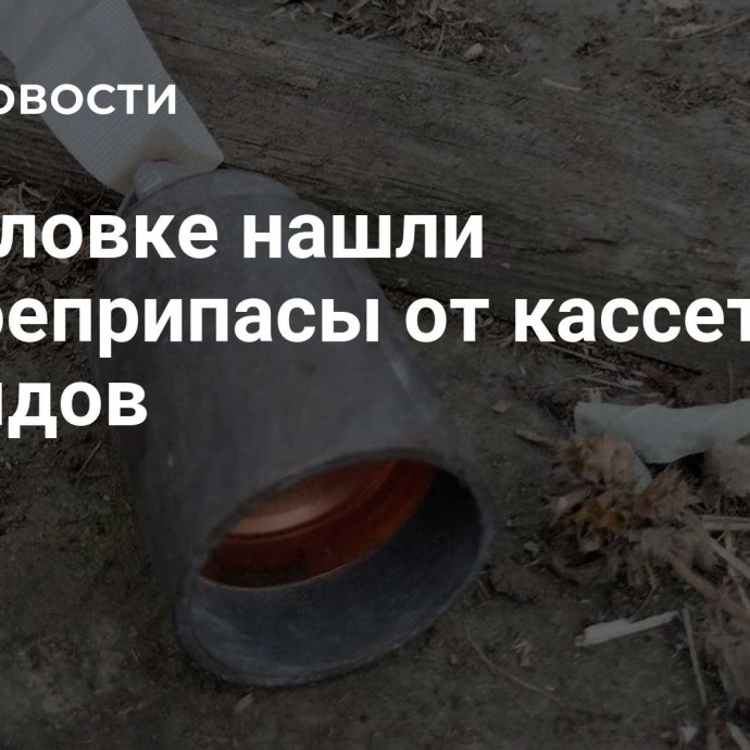 В Горловке нашли суббоеприпасы от кассетных снарядов